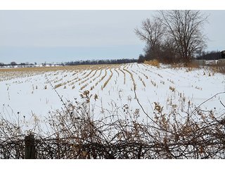 Property photo 6 - AUCTION, 206 Contiguous Acres offered in 5 Tracts